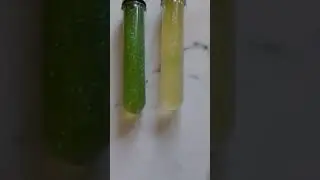 антисресс колба 💡блустки красиво