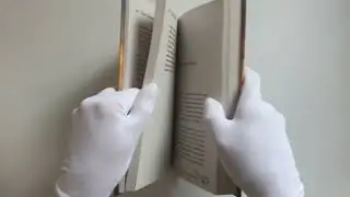 Лето. Небо. Самолеты