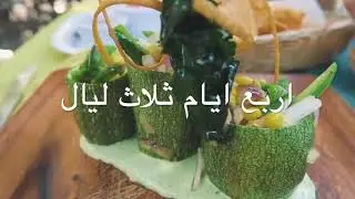 صني دايز البلاسيو الغردقة | اربع ايام ثلاث ليال  | 4180 جنية