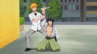 Ichigo stops Kenryu from committing suicide...