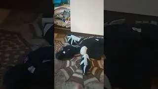 я лечу выше чтобы только разбиться