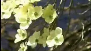Headwater's Crossing - John August and John Hermanson - Native American Flute & Acoustic Guitar