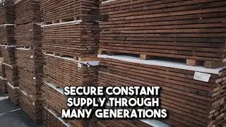 Hartzell Hardwoods: A Legacy of Green Choices