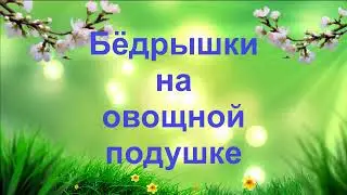 Бёдрышки на овощной подушке.