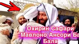 Охирин сафари Мавлоно Ансори ба вилояти Балх #afghanistan