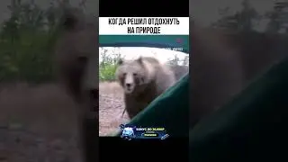 #природкаедритеё