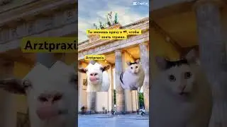 Знакомо? 😂