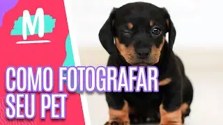 Fotografia de pets + Dicas para adestrar cães em casa - Mulheres (23/10/20)