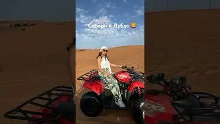 САФАРИ В ДУБАЕ. Полный обзор в последнем рилс 🙌🏼 
