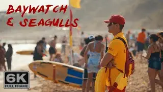 Baywatch and Seagulls - Blackmagic Cinema Camera 6K Full Frame