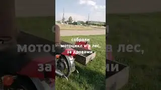 поехал в лес