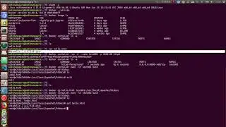 【Dockerの使い方】docker cp について