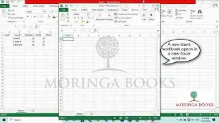 How to Create a New Workbook in MS Excel 2013 in Windows 10