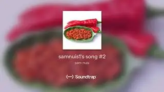 samnuis1's song #2 zelf gemaakt