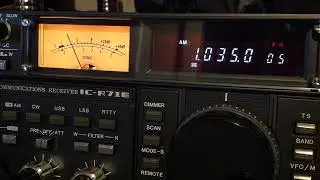 1035 kHz Lyca GOLD 24h