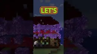 Minecraft Can You Spot Them