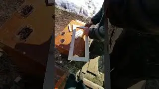 Как я собираю ловушку на пчел.