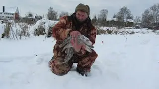 РЫБАЛКА . КАК В АКВАРИУМЕ .ЩУКИ  КИШАТ  . ГЛУБИНА 30 СМ .  ДАЛ  БОЙ  ЩУКИ , А ОНА МНЕ . ПЕРВЫЙ ДЕНЬ.