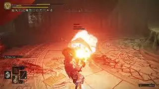 Elden ring one eye shield says no
