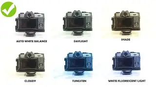 Cara Mengatasi Foto Kekuningan/Kebiruan dengan White Balance di Canon 600D