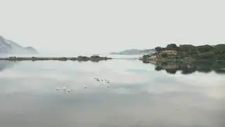 Flamingos and Tavolara