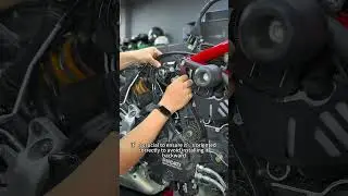 Ducati Timing Belt Replacement & Fault Code Reset at 13,000 Miles! #clives #ducati