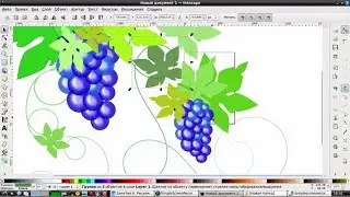 I drew grapes in Inkscape using the program. Inkscape vector editor tutorial
