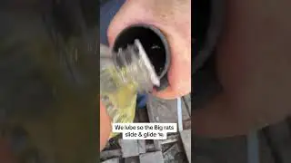 The ULTIMATE Rat sucking vacuum with peanut OIL…🐀🐀🥜🛢️