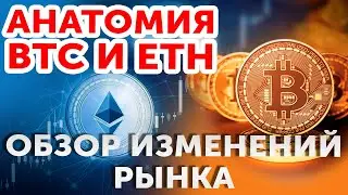 Обзор рынка криптовалют. Анализ: Bitcoin, Ethereum и альтов.