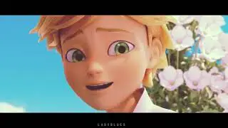 Adrien x Marinette // WONDERLAND