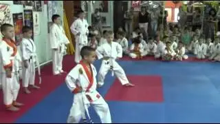 Экзамен 8 июня 2014 года.Белые пояса часть 2