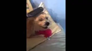 It's a delight after snuggles showers