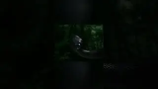 Encounter with a Titanoboa 