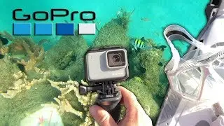 Snorkel Trail with GoPro Hero 7 white 🐠
