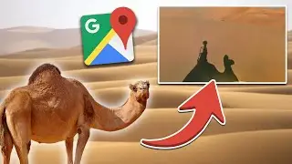 Most Unique Google Imagery EVER Taken on Google Maps!