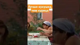 СВАТЫ. ЛУЧШЕ КУКУШКА, ЧЕМ КУРИЦА 