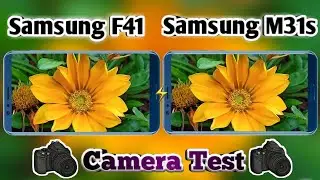 Samsung Galaxy F41 vs Samsung Galaxy M31s Camera Test | Samsung F41 Camera