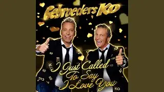 I Just Called To Say I Love You