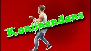 Awesome Techno Dance/konijnendans Compilation