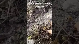 Копаем клад,металоискатель!Очень дорогая находка!Заработал 100 000$ за день.#металоискатель#клад