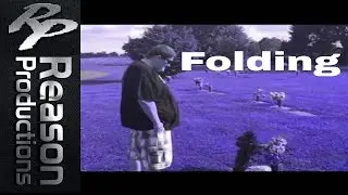 The Reason - Folding Ft. 2-Tymez & Lulu