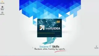 008 The IntelliJ IDE
