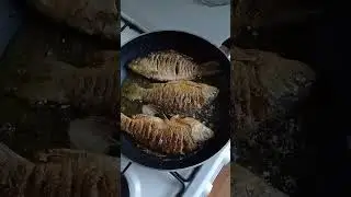 Сладенькие морские караси уже шкварчат на сковородке.
