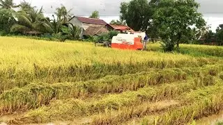 Tractor Kubota DC-70 plus