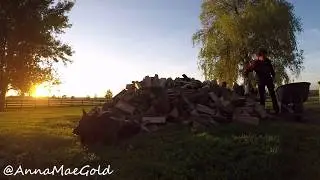 dogs & firewood