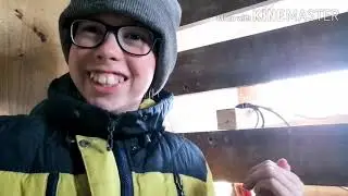 24 часа на КАРАНТИНЕ| Vlog 2| Viri show |