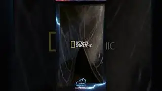 CICADES? Tell Me More - SCUM Gameplay 2023 