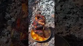 Tenekede tavuk #shortvideo #youtubeshorts #shortsvideo #shortsfeed #shorts #short #shortsviral