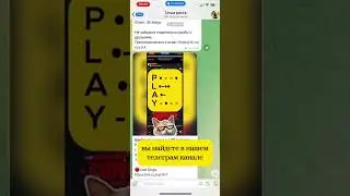 Ежедневное комбо 27 августа Хамстер Комбат (Hamster Kombat)