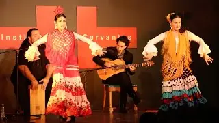Chicago Flamenco Festival 2023 | Instituto Cervantes + Ensemble Español